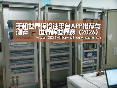 投注app案例展示五