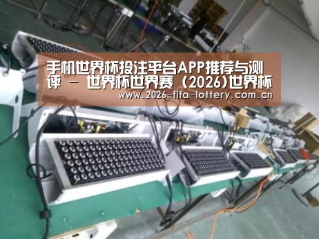 投注app案例展示一