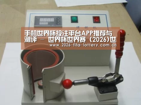 投注app案例展示六
